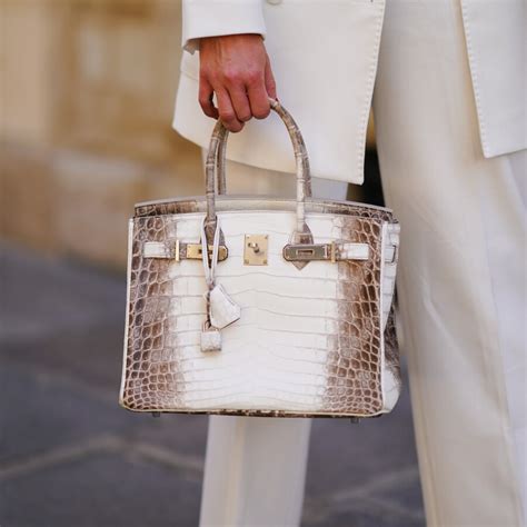 himalaya birkin 30 hermes|hermes himalayan birkin with diamonds.